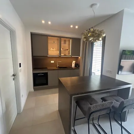 Luxury L 29